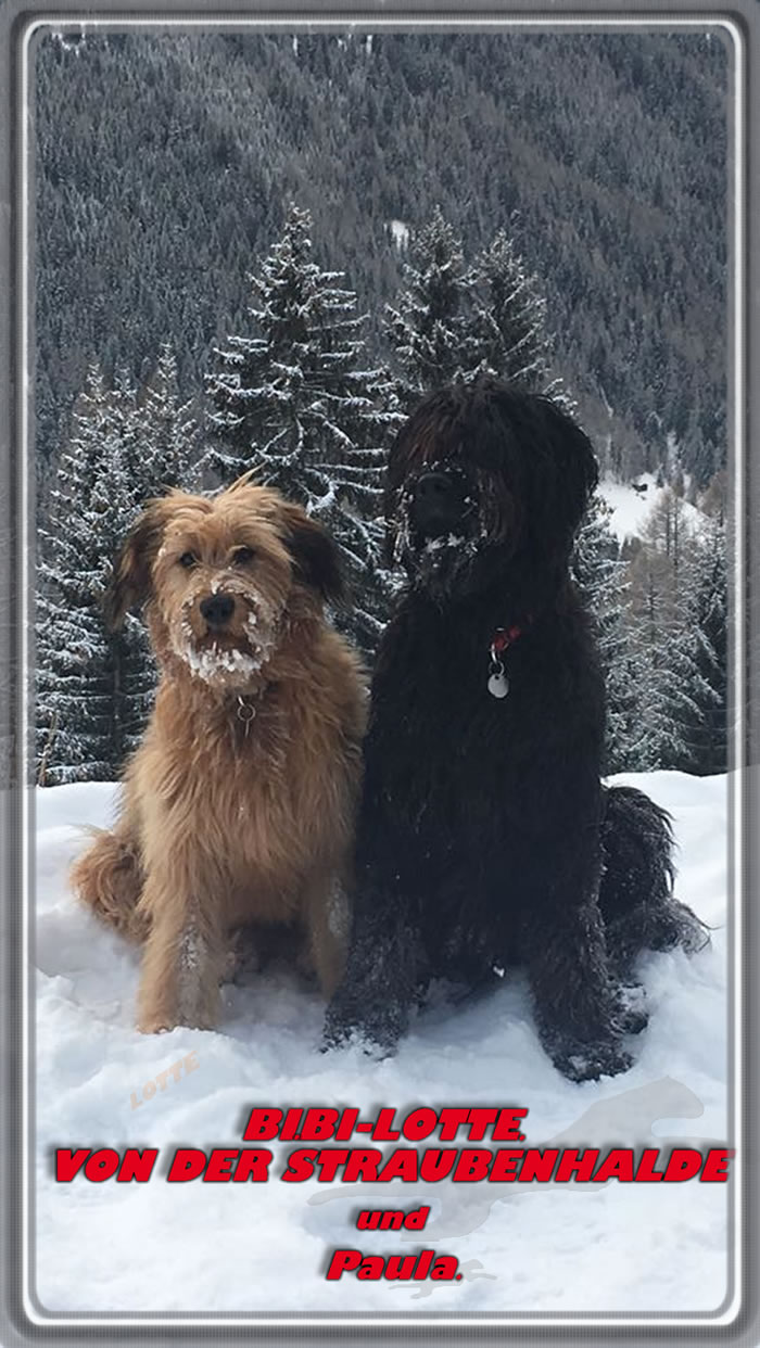 Wäller von der Straubenhalde